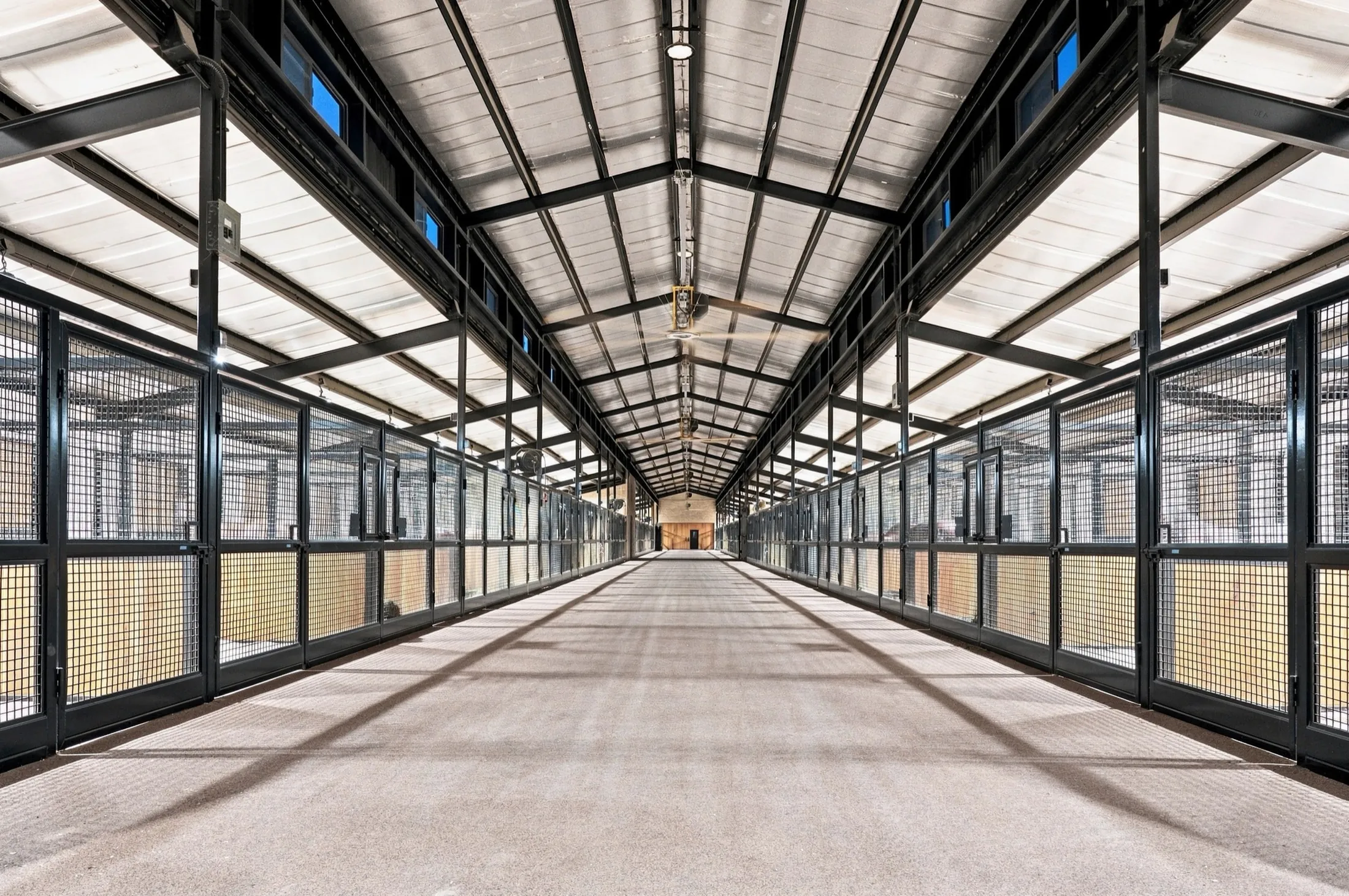The center aisle of the main barn at Franklin Farm, with mesh-fronted stalls on both sides, ceiling fans, and clerestory windows overhead.